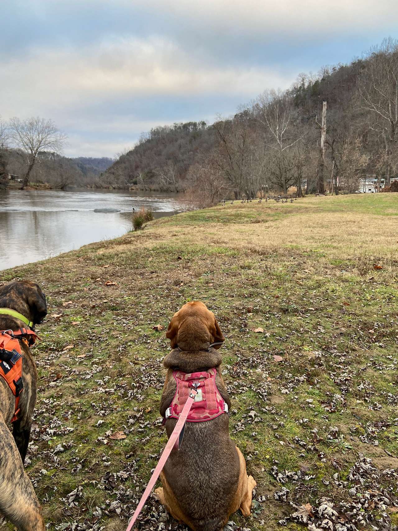 French Broad Sunset
