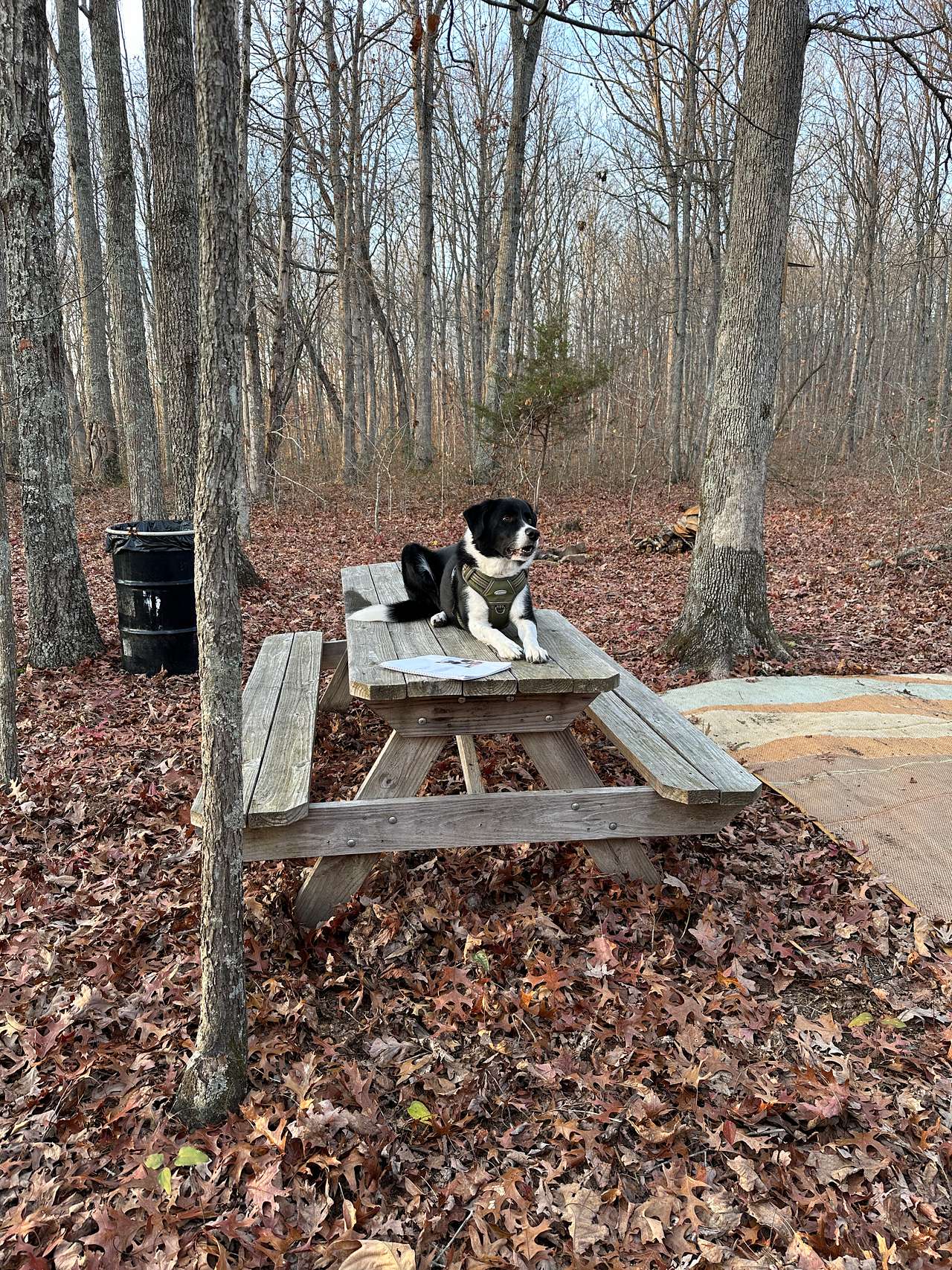 Supervising Setup