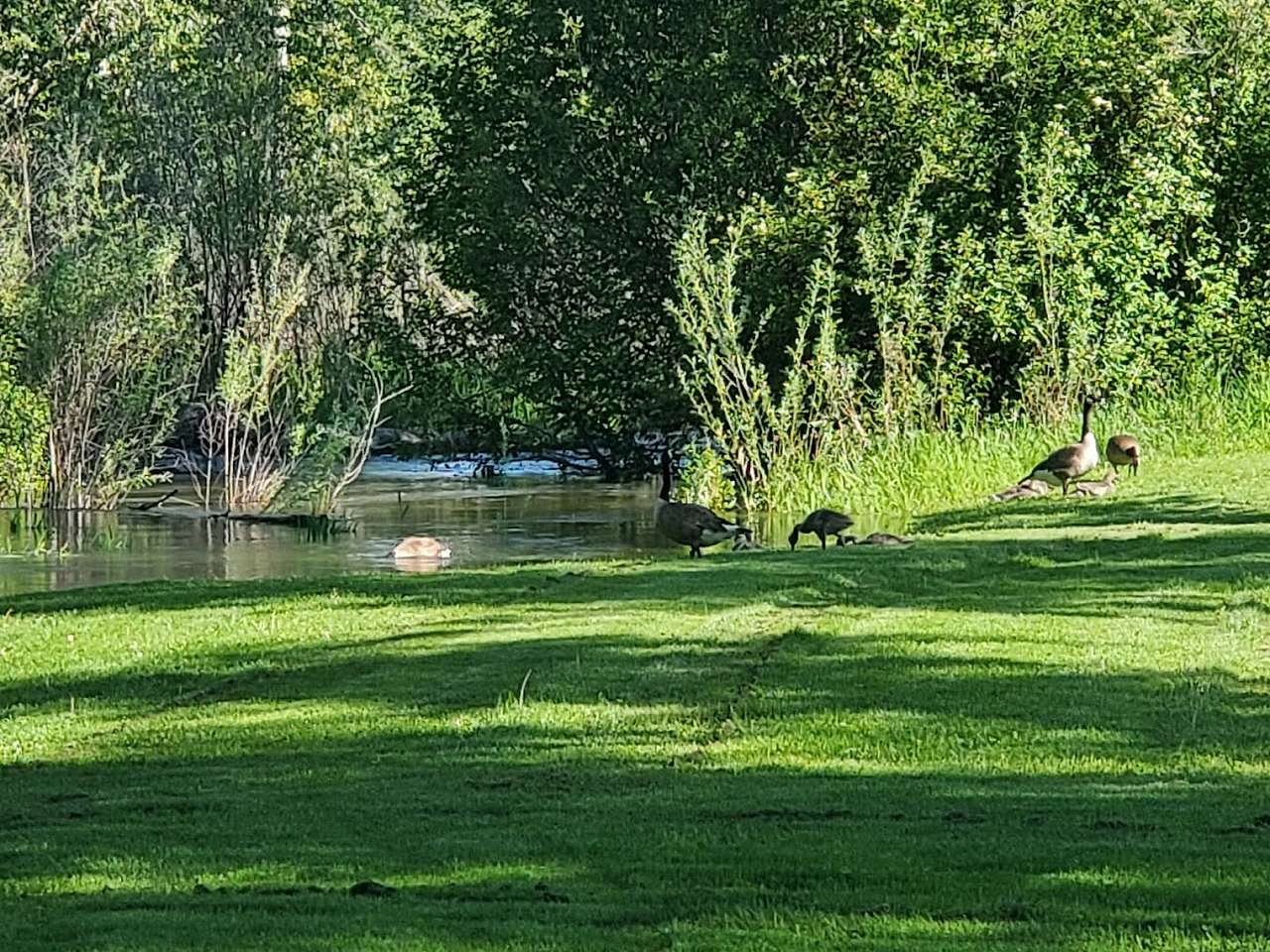 Black Rabbit RV Park
