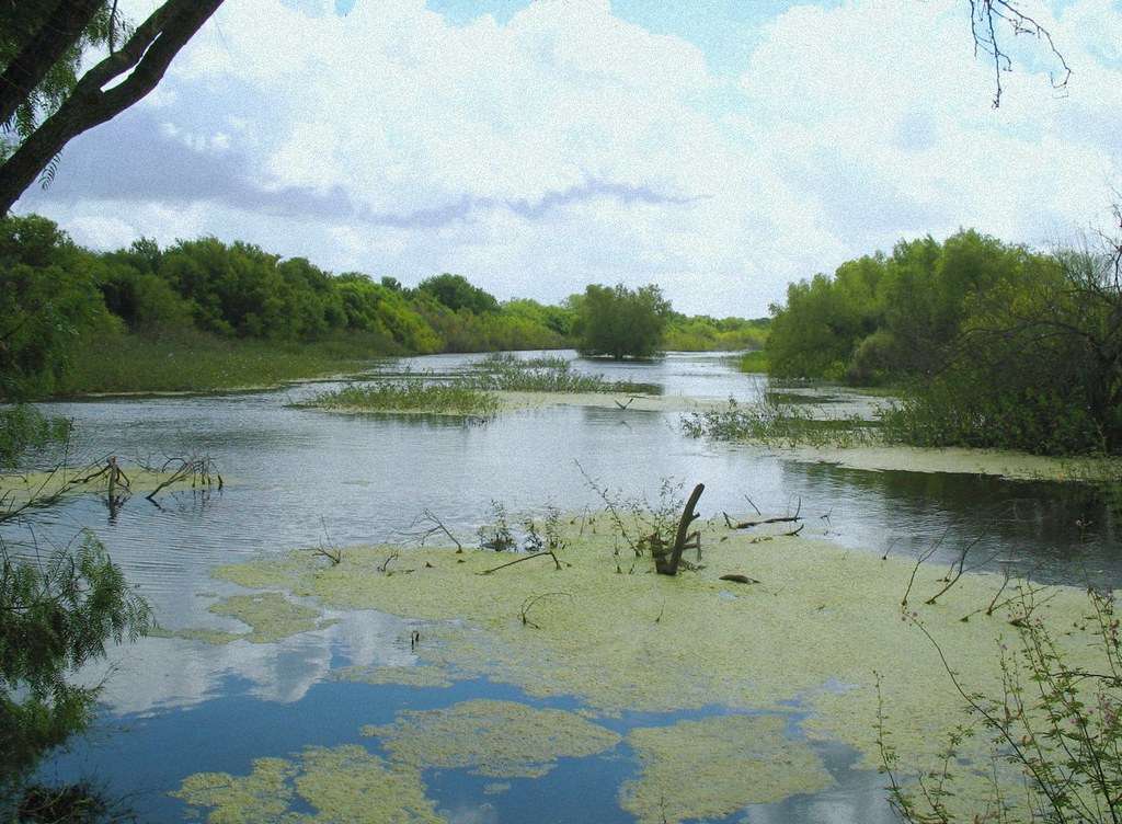 Resaca de la Palma State Park