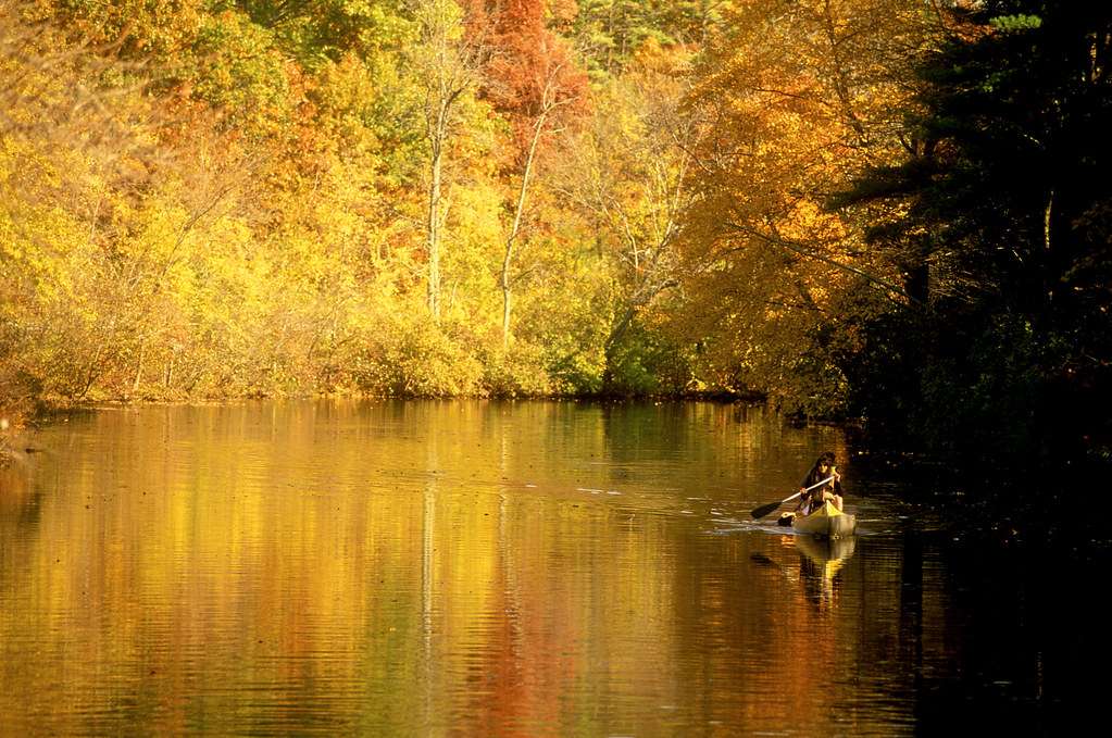 Bradley Palmer State Park