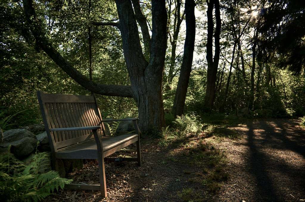 Bristol Blake State Reservation