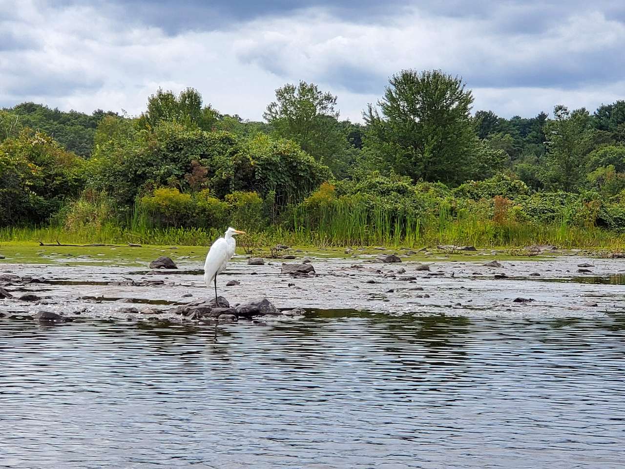 Cutler Park Reservation