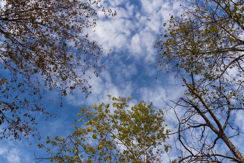 Farnham-Connolly State Park