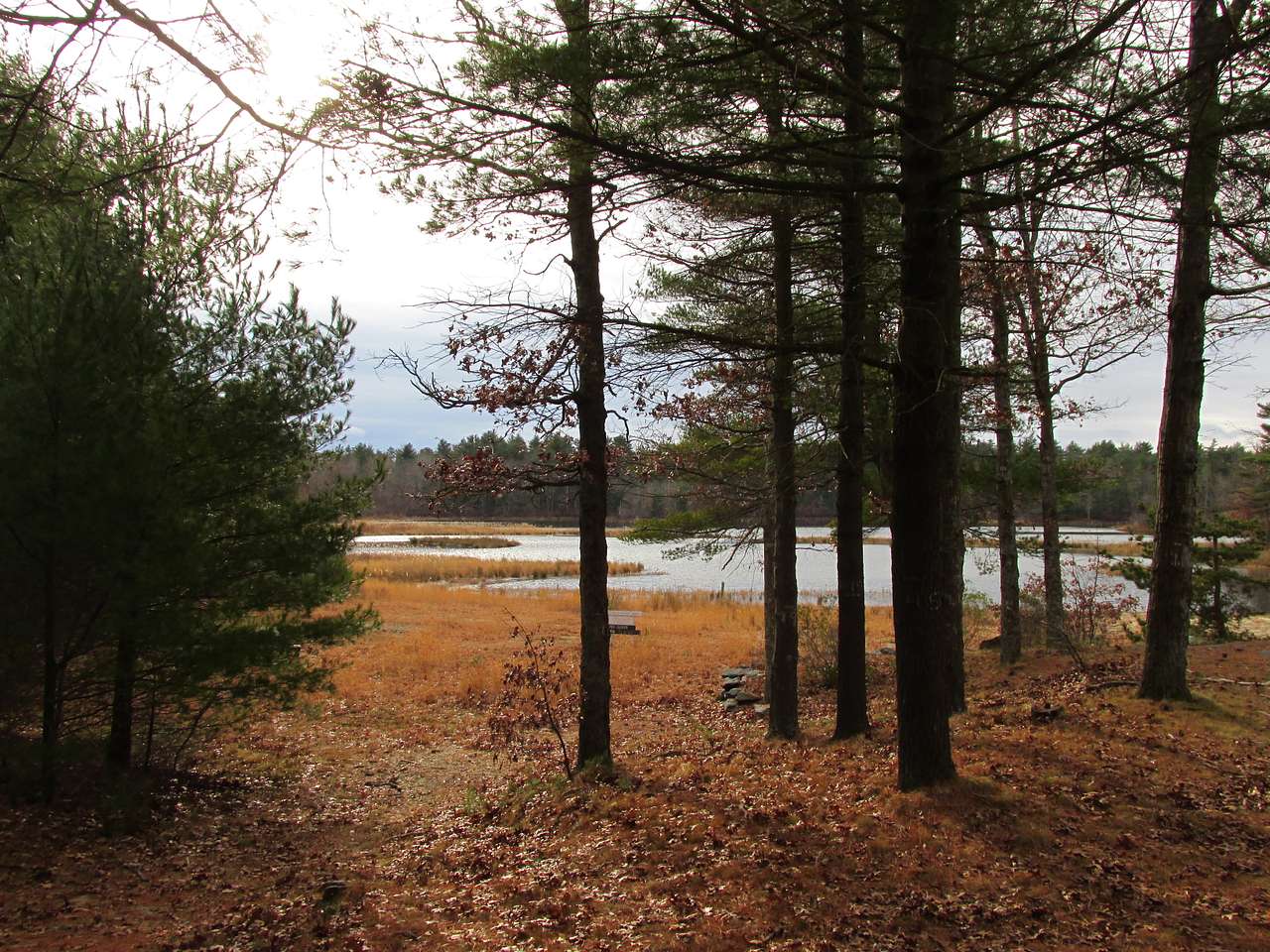 Massasoit State Park