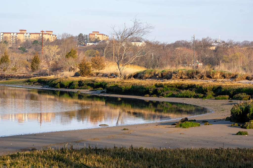 Rumney Marsh Reservation