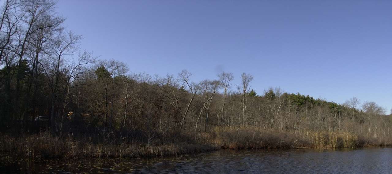 Stony Brook Reservation