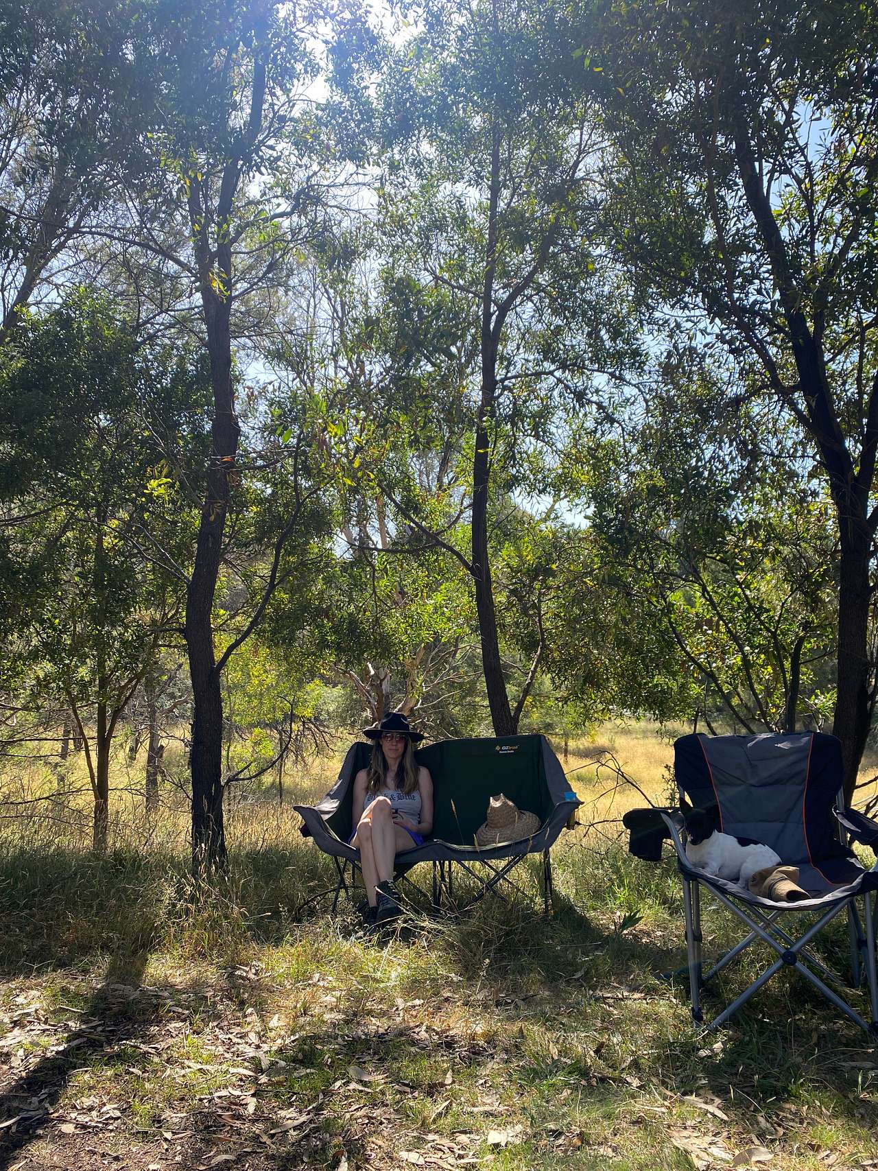 Reedy Creek Camping