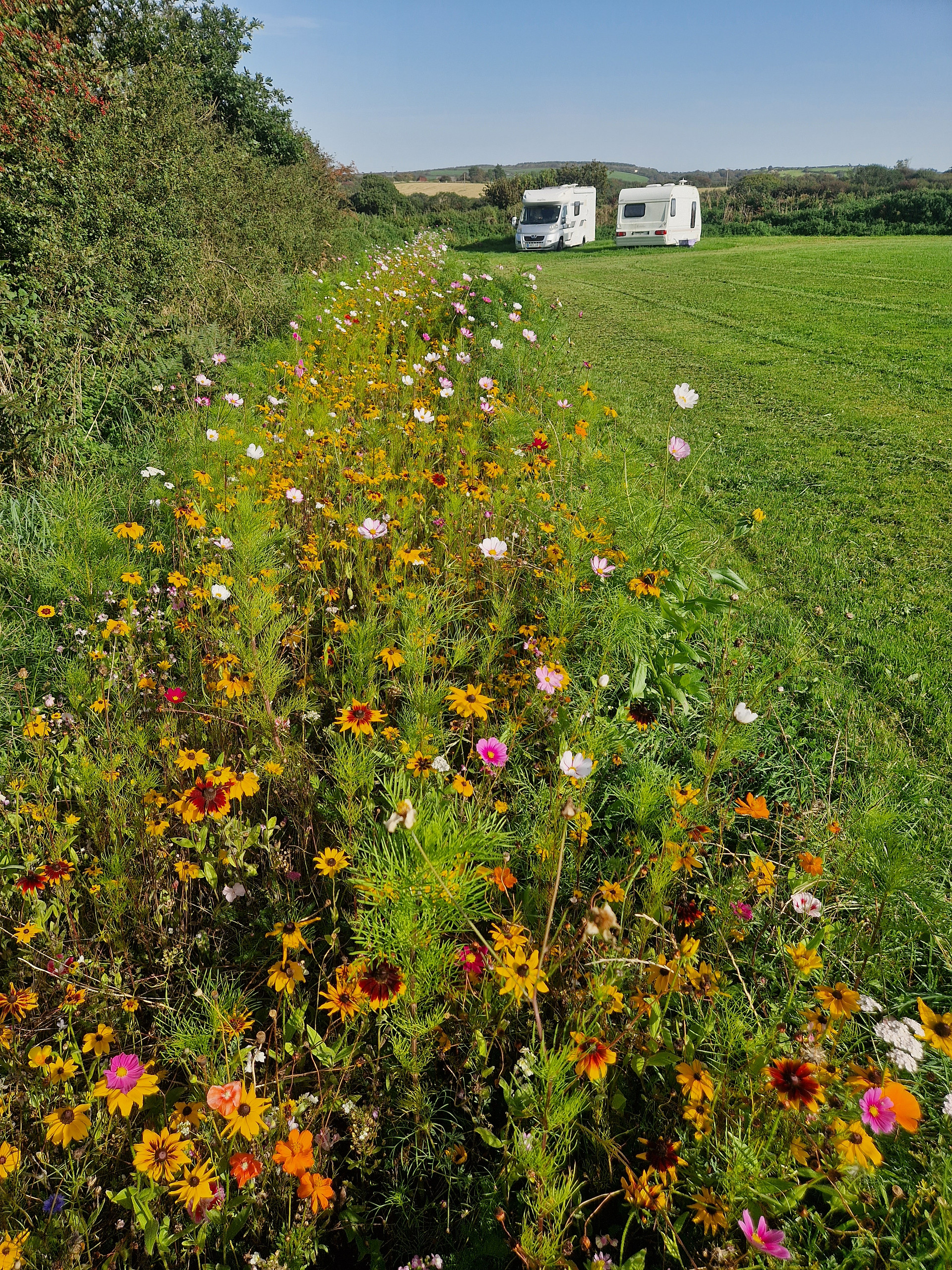 The Camping Field