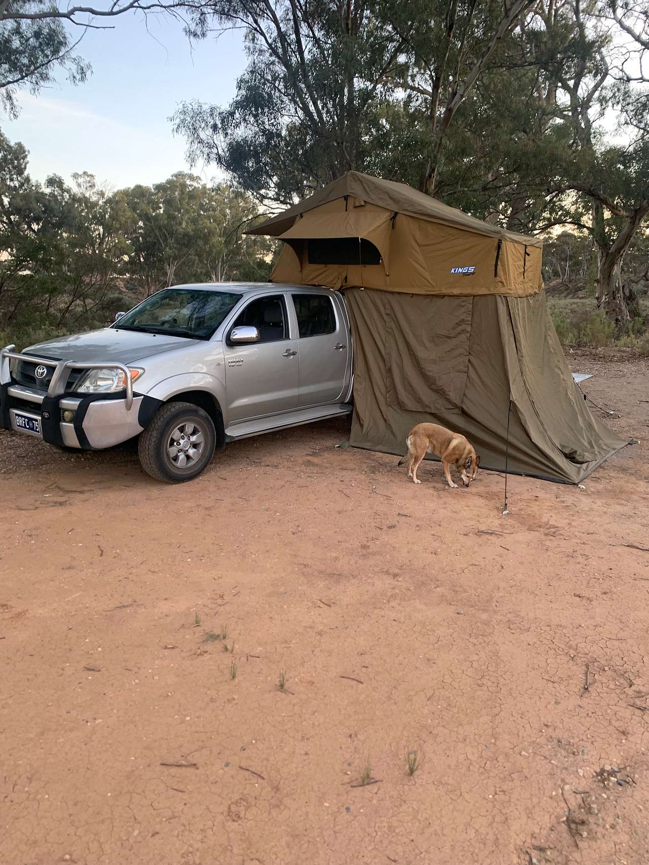 Burra Creek Camping