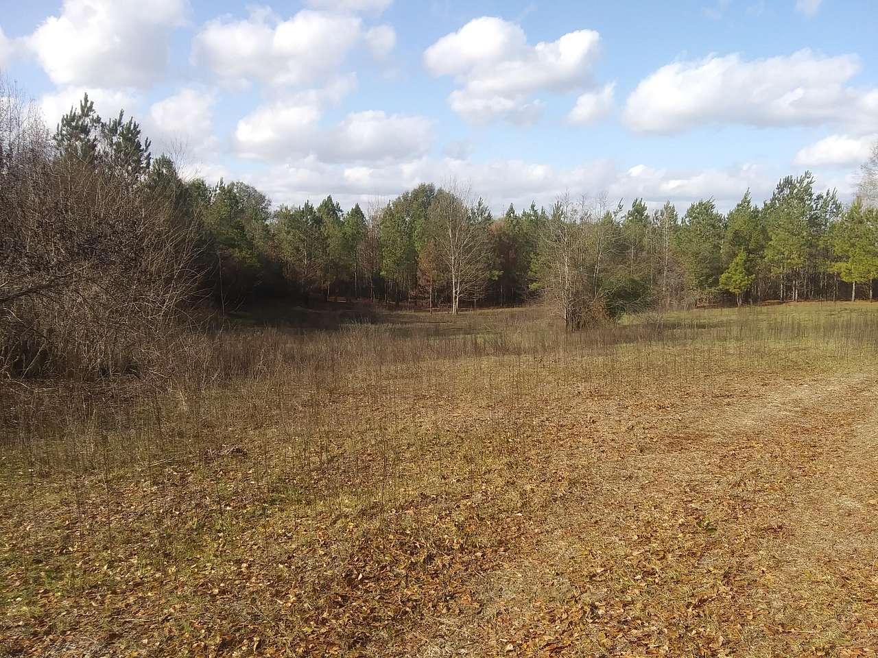 Murchison Farm's Primitive Camping