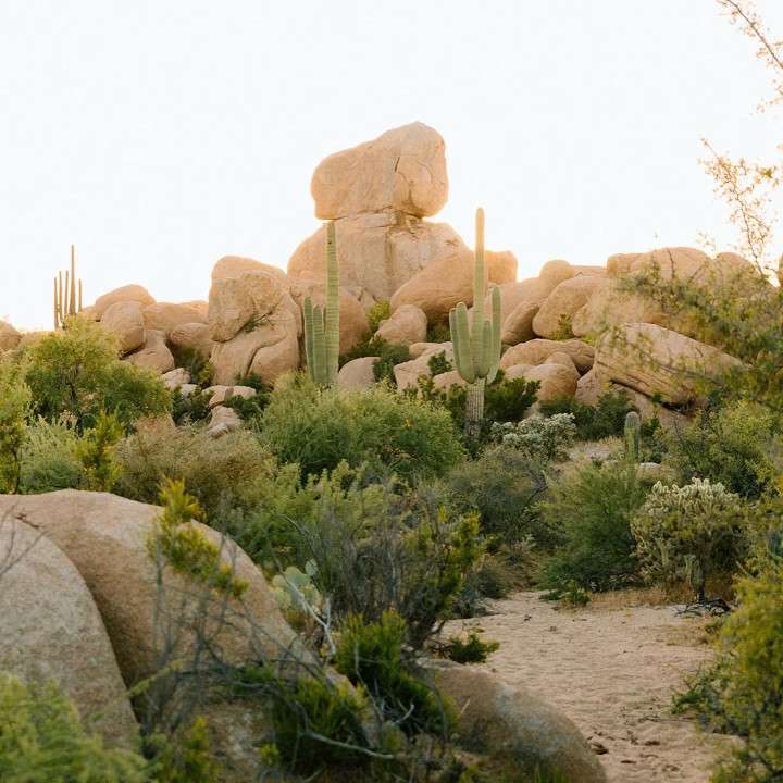 Boulder hideout