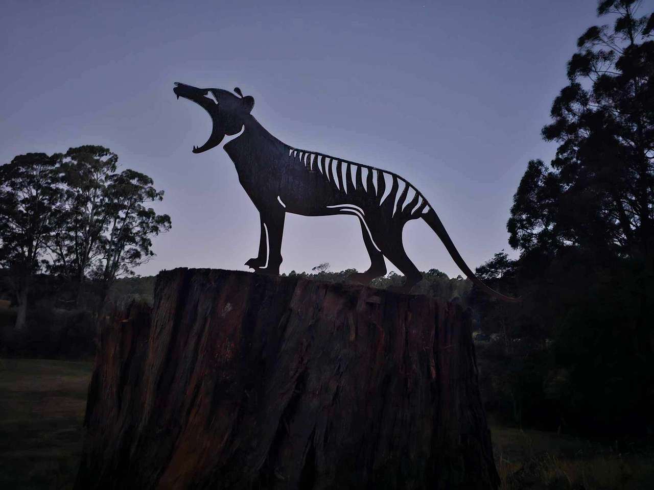 Inglis River Caravan and Camping