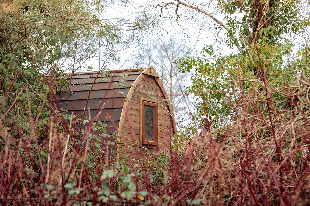 Beautiful cabin stays right next to the lakes