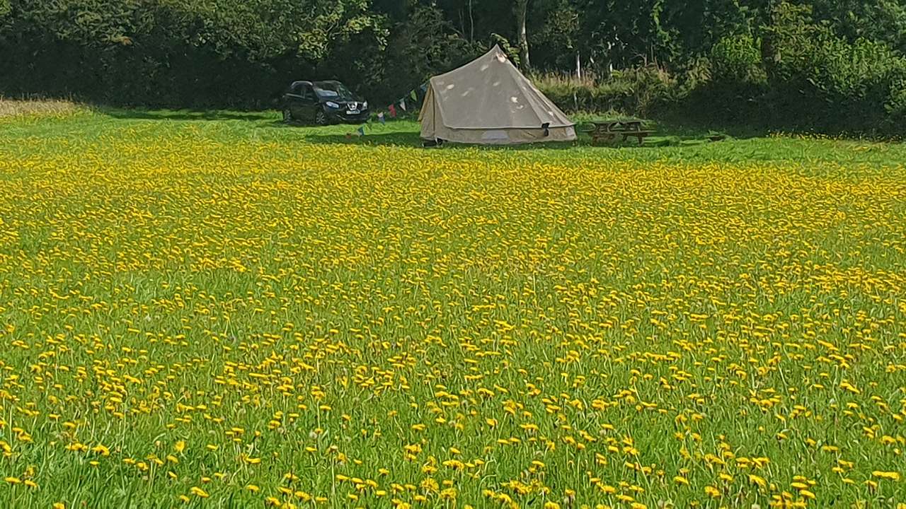 Goren Farm