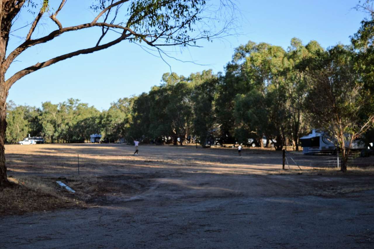 Paperbark Creek