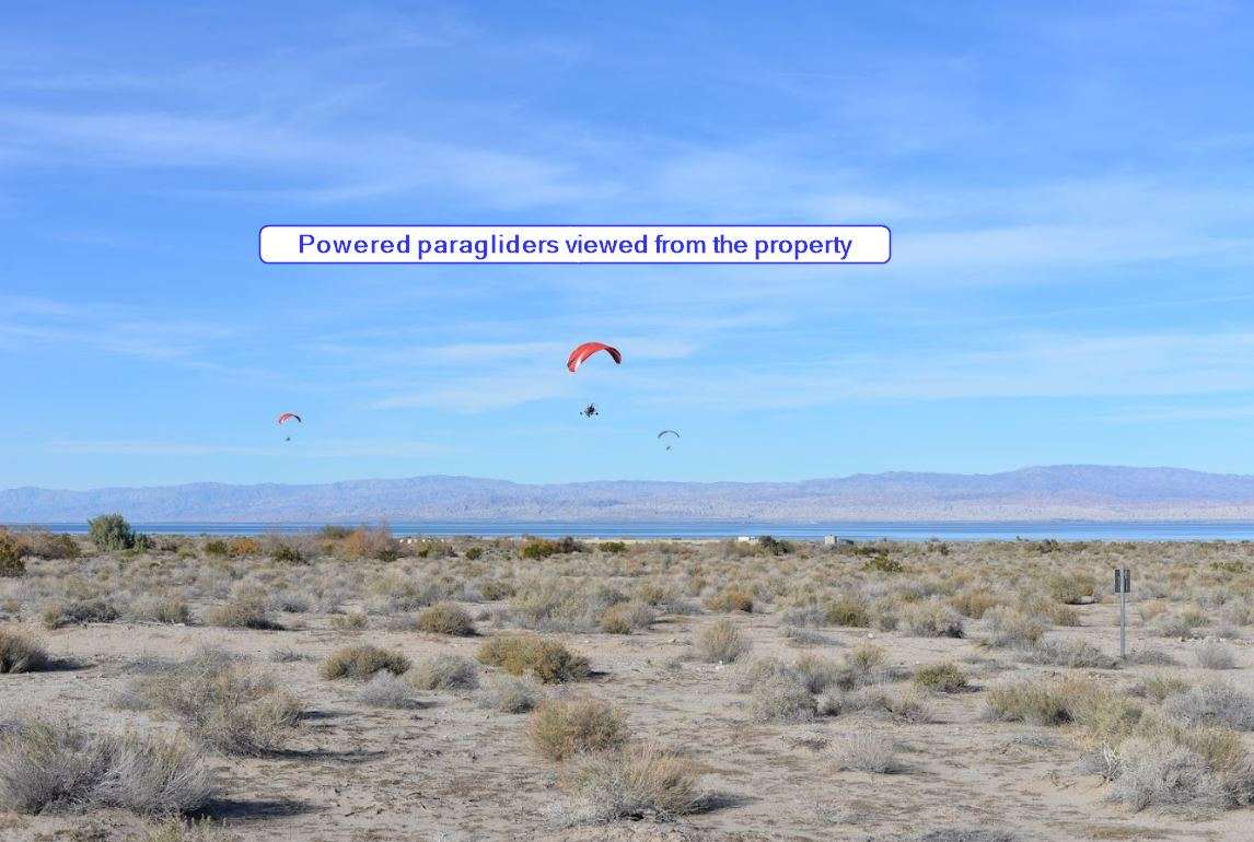 Salton Sea Sanctuary