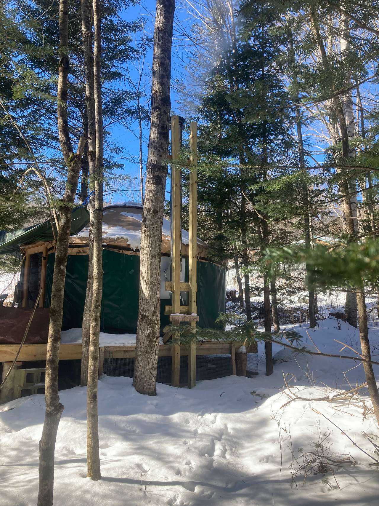 Our 14' yurt is tucked into the wooded area of our property giving it the feel of complete privacy. Our house is visible in the upper right.