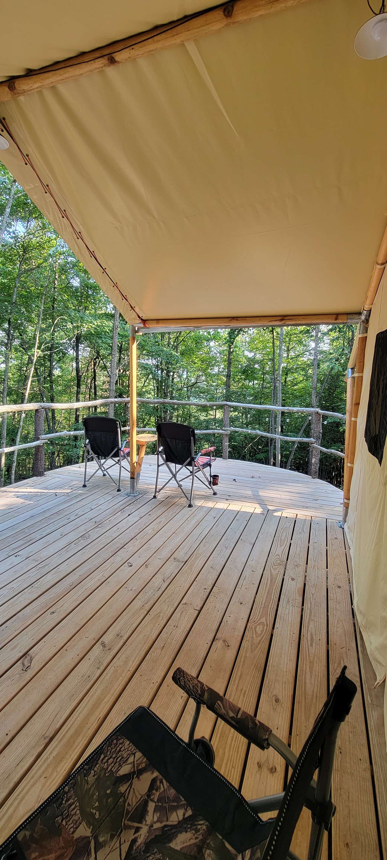 Take a Hike on a Wild side! Camping