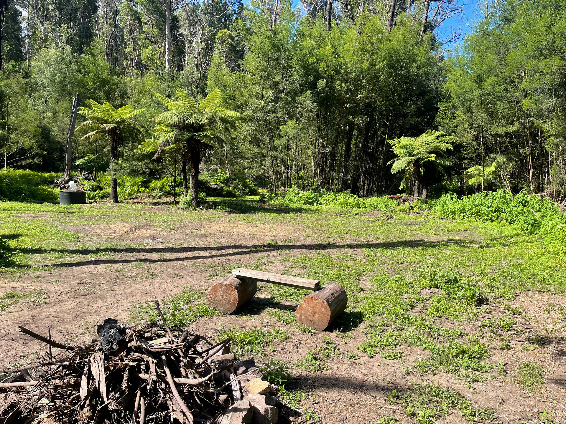 Fern Gully Campsite
