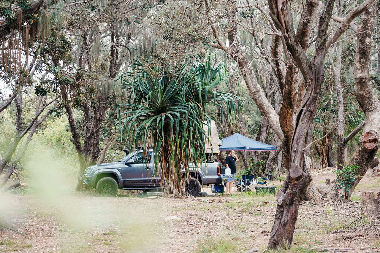 nestled in amongst the trees