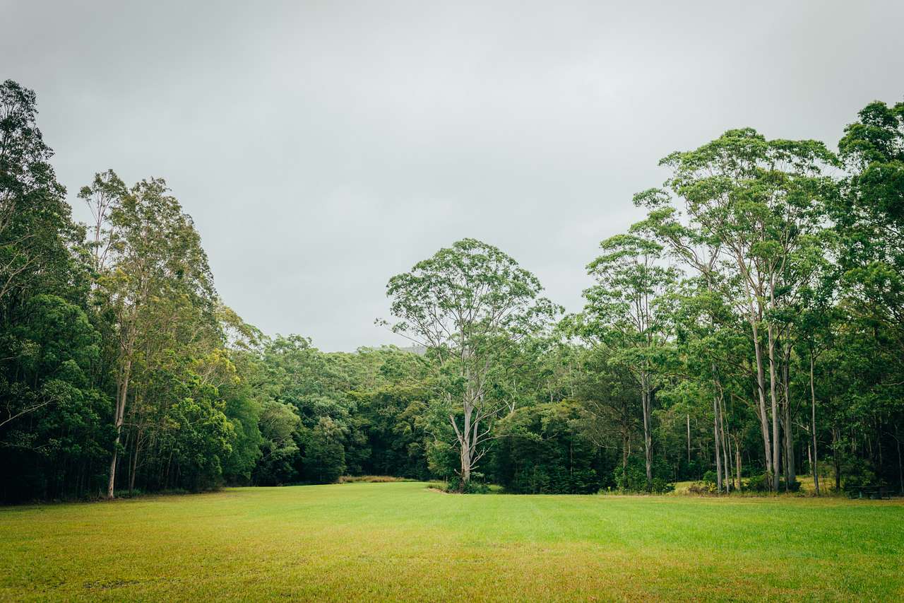 Nice big paddock that's suitable for larger groups and camp setup