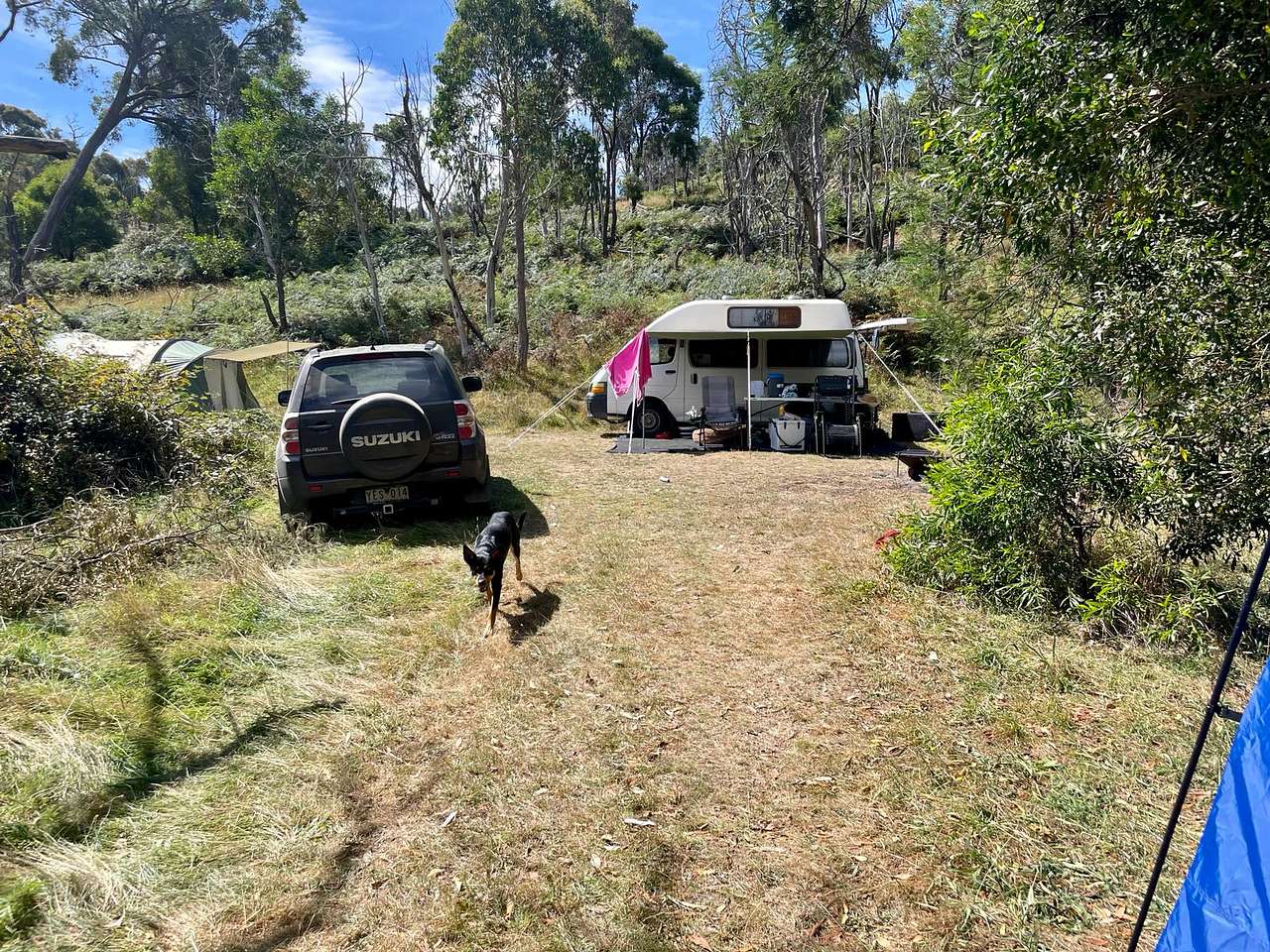 Campsite, van and tent