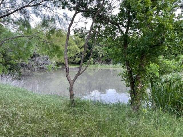 Blue Moon Camping TX