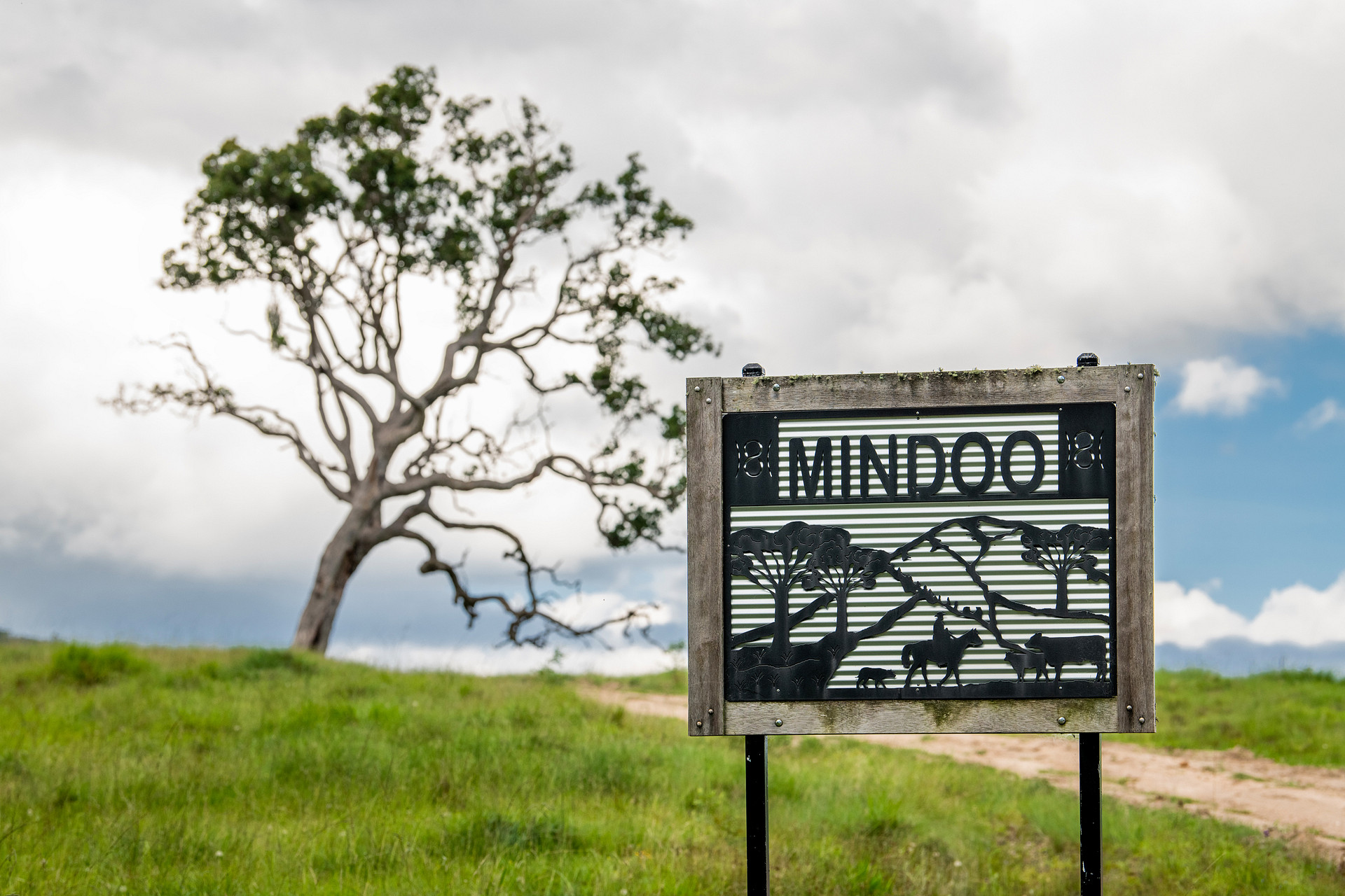 "Mindoo"