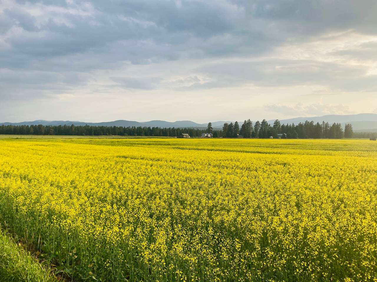Whitefish Farms RV Sites