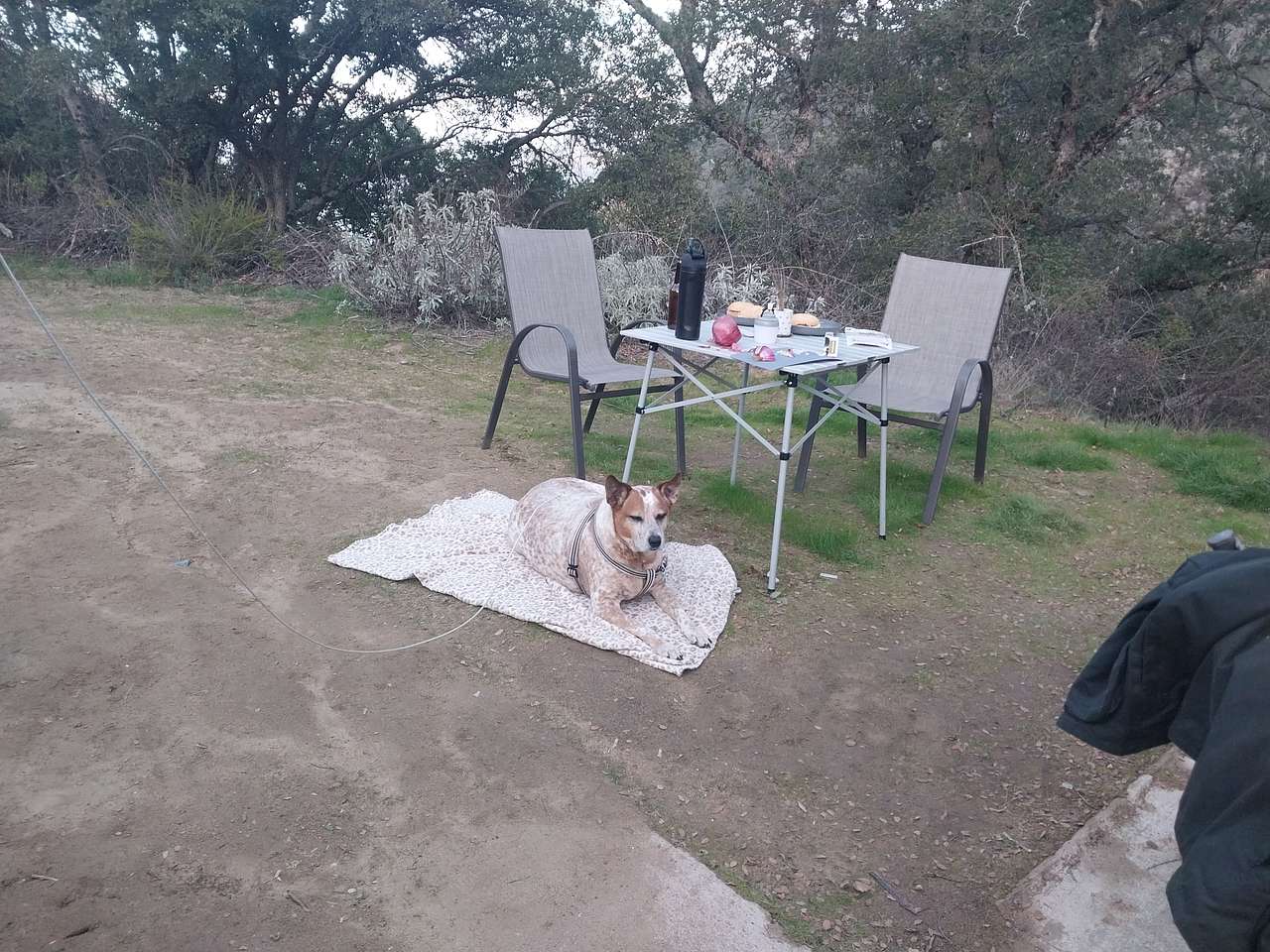 Santa Ysabel Dark Sky Retreat