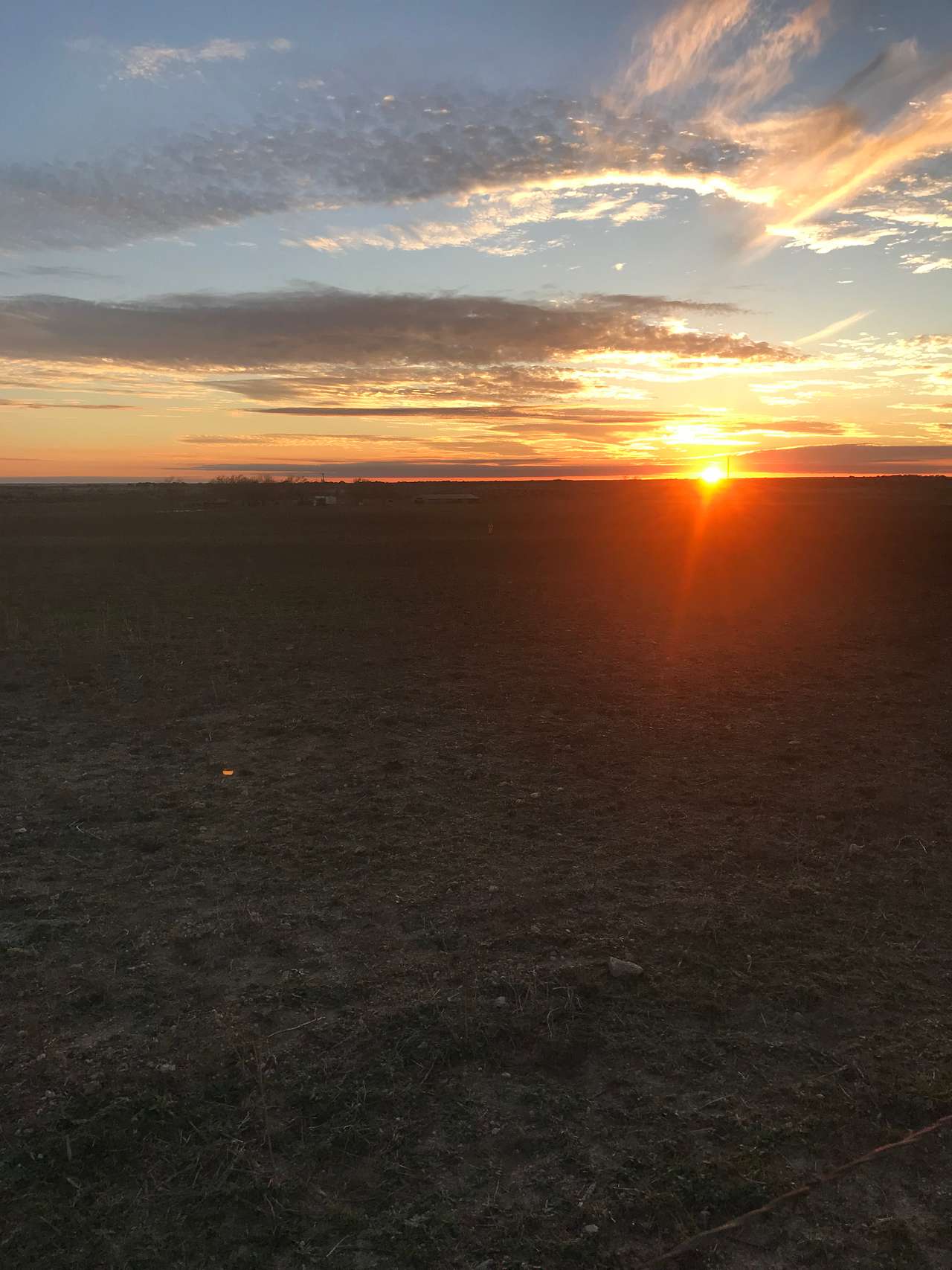 Lazy D Ranch