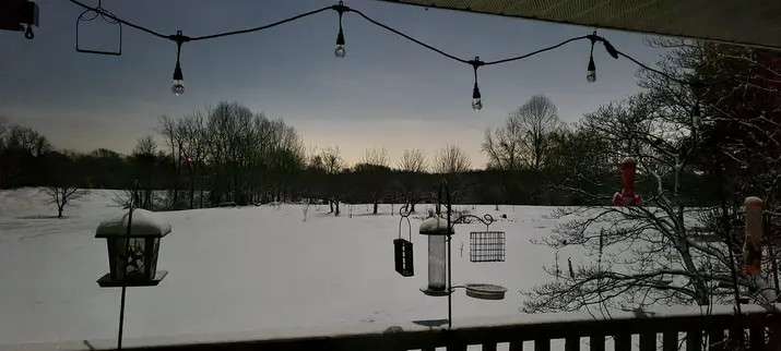 Holy Hope Farms