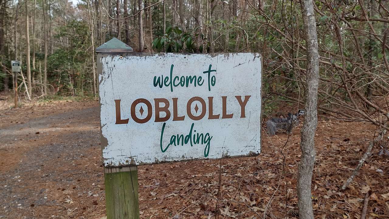 Loblolly Landing SBY