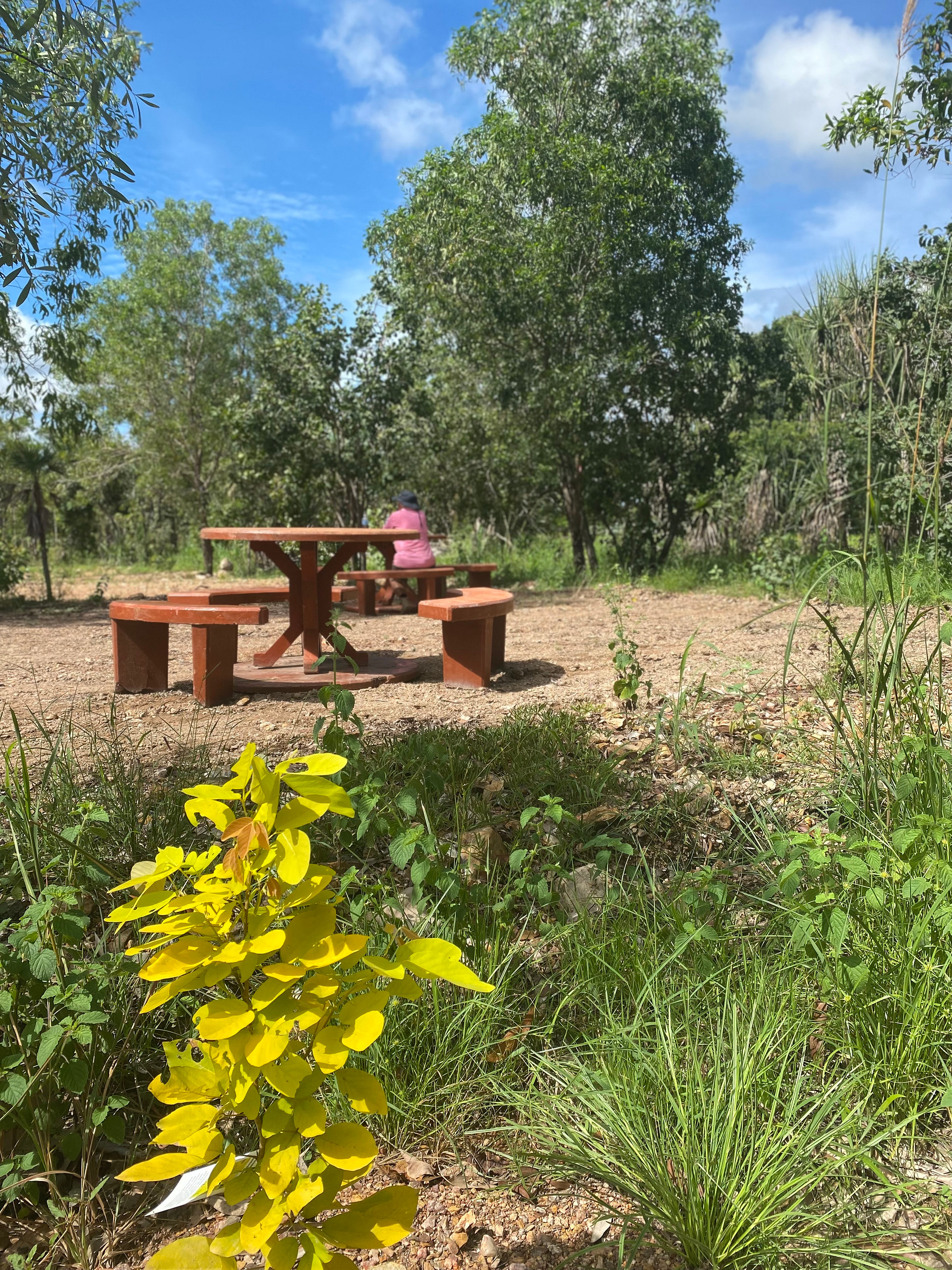 Berry Springs Park and Stay