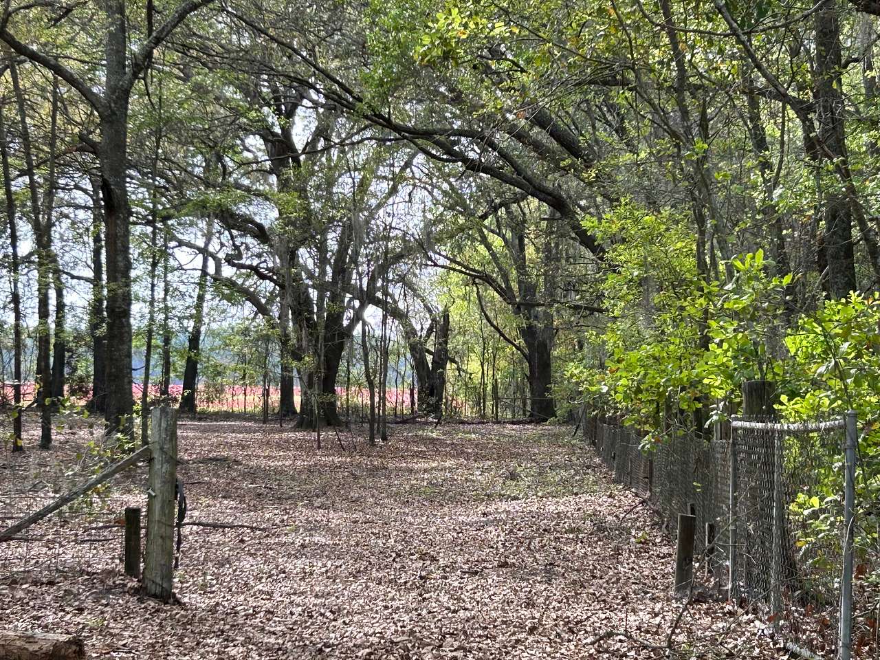 Bluewater Horse Ranch