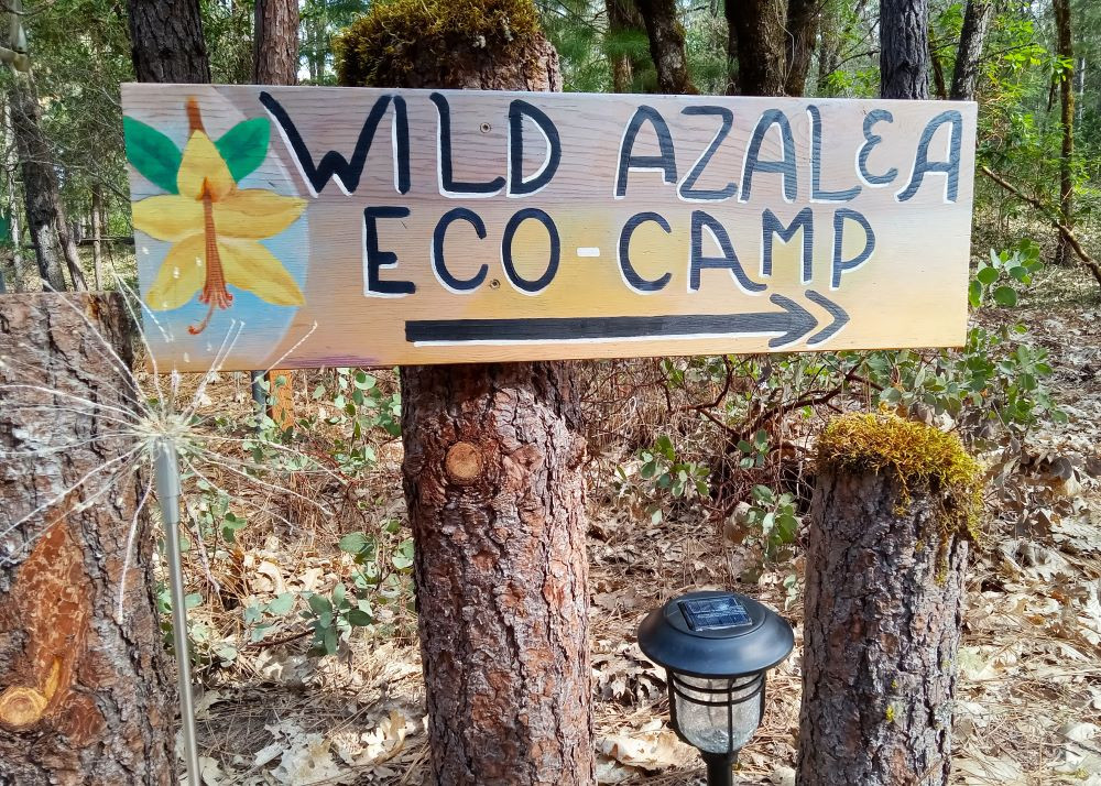 Wild Azalea Eco-Camp