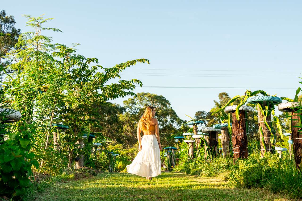 Walking through the dragon fruit farm. 