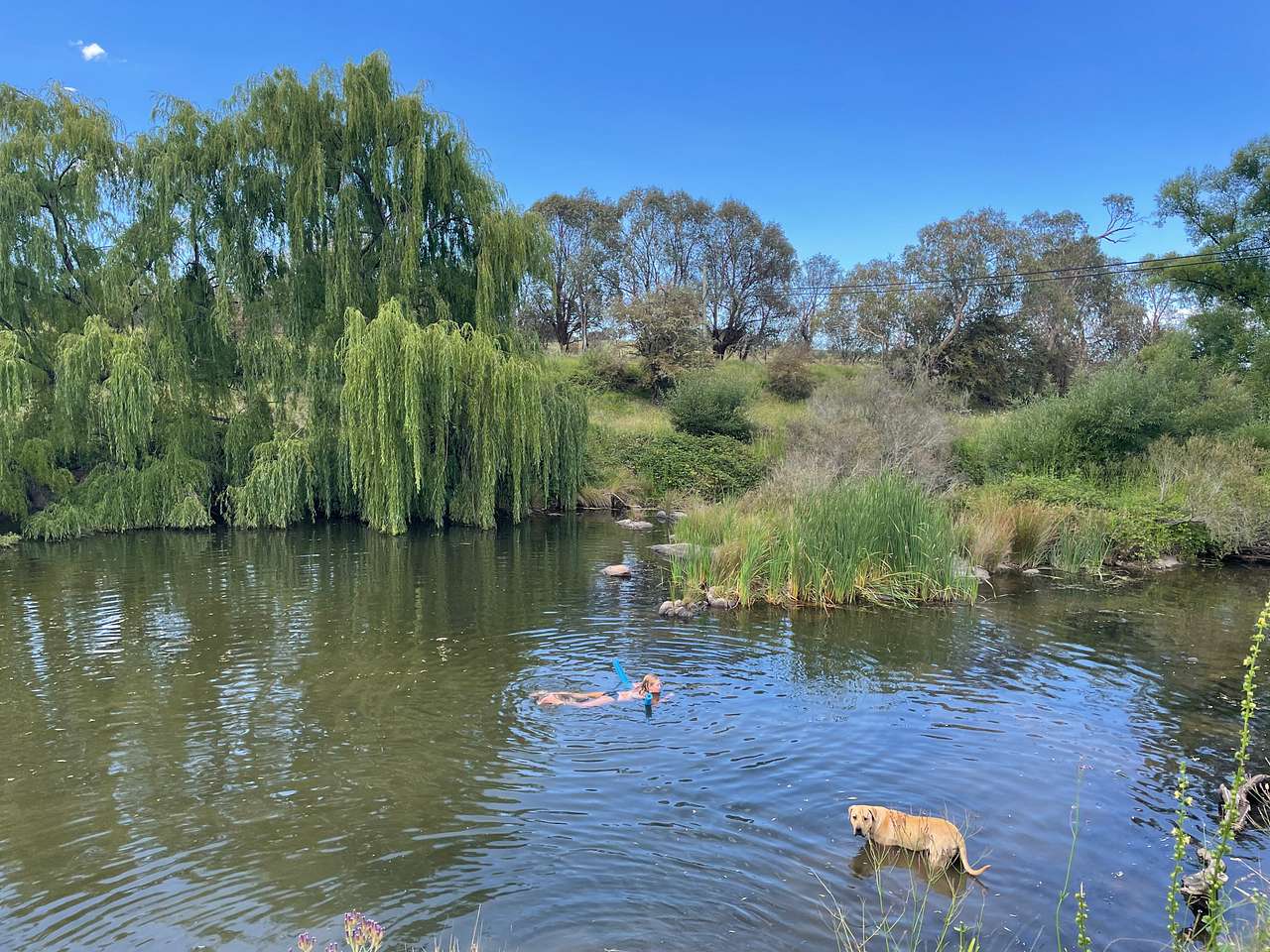 Blue Hole Riverside R&R