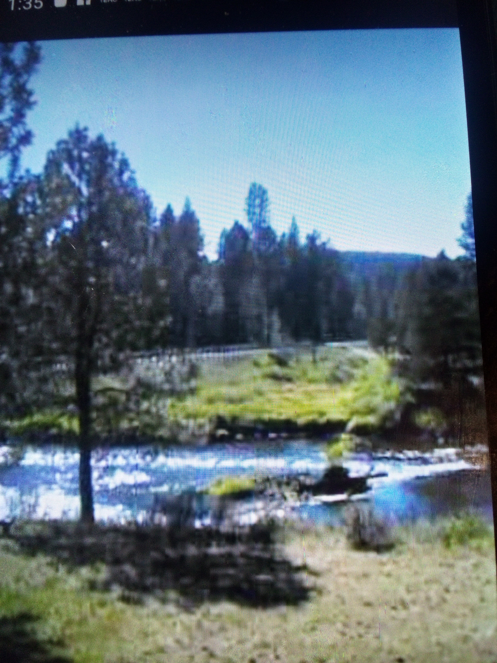 River Pines