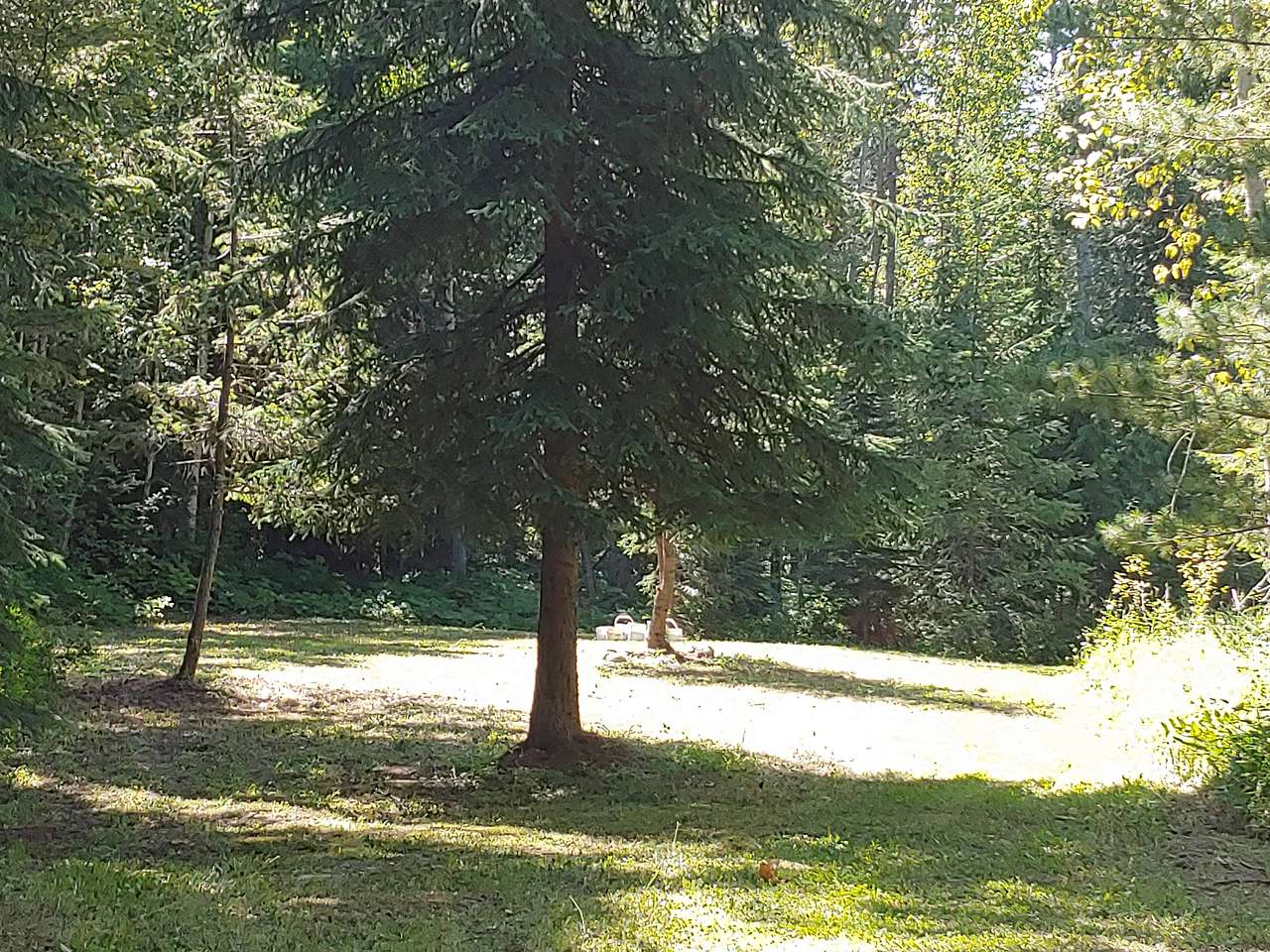 TamTERRA  Bringing Nature Home