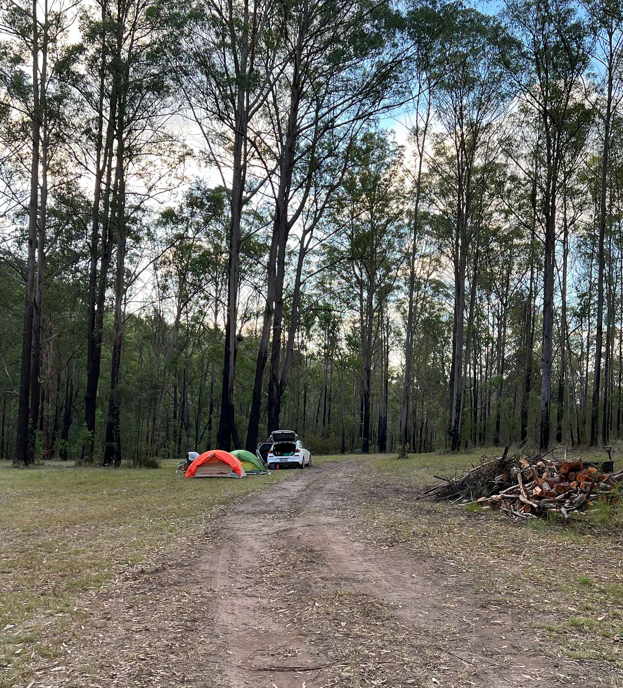 Wollombi Springs