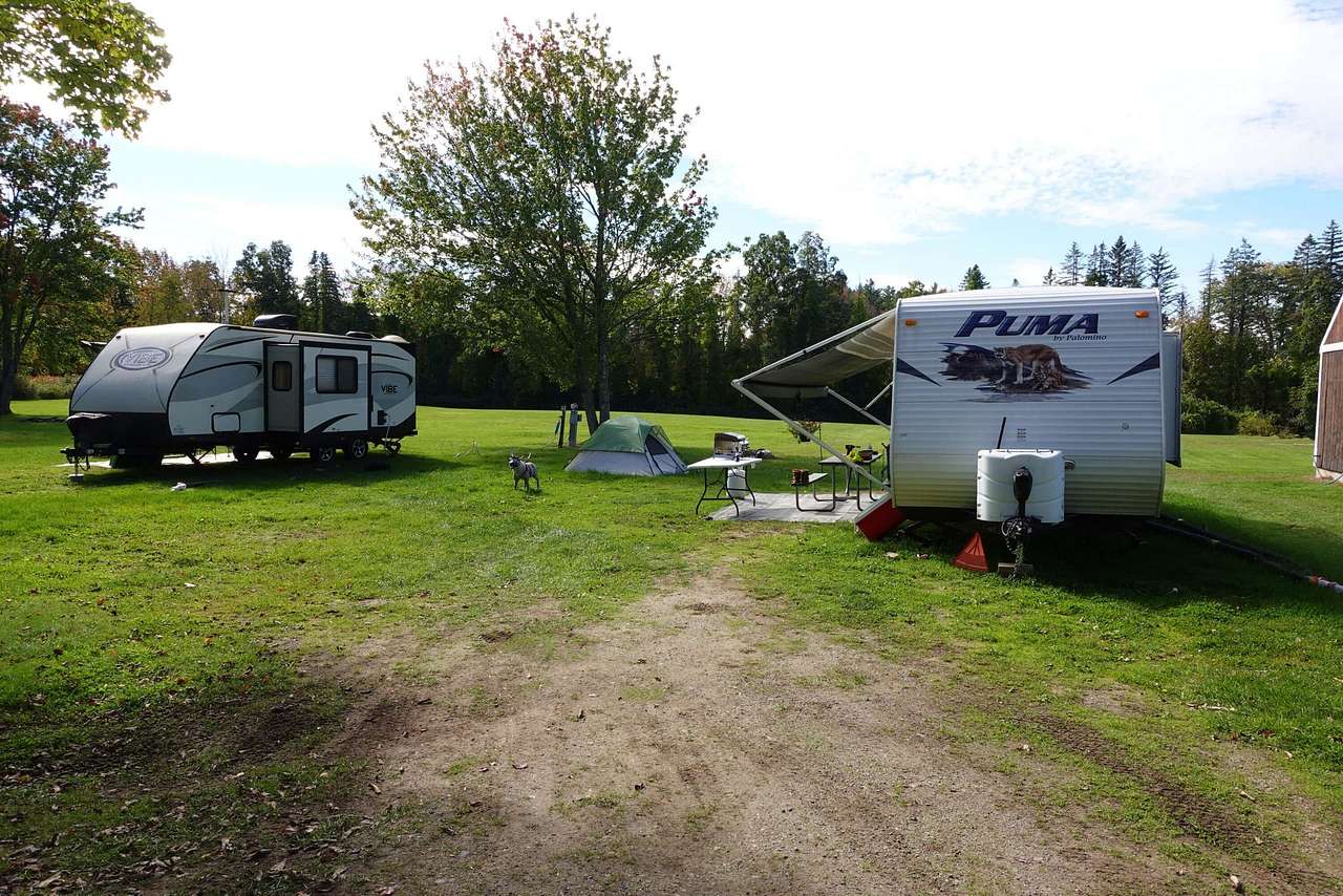 Spacious Skies Walnut Grove Campground
