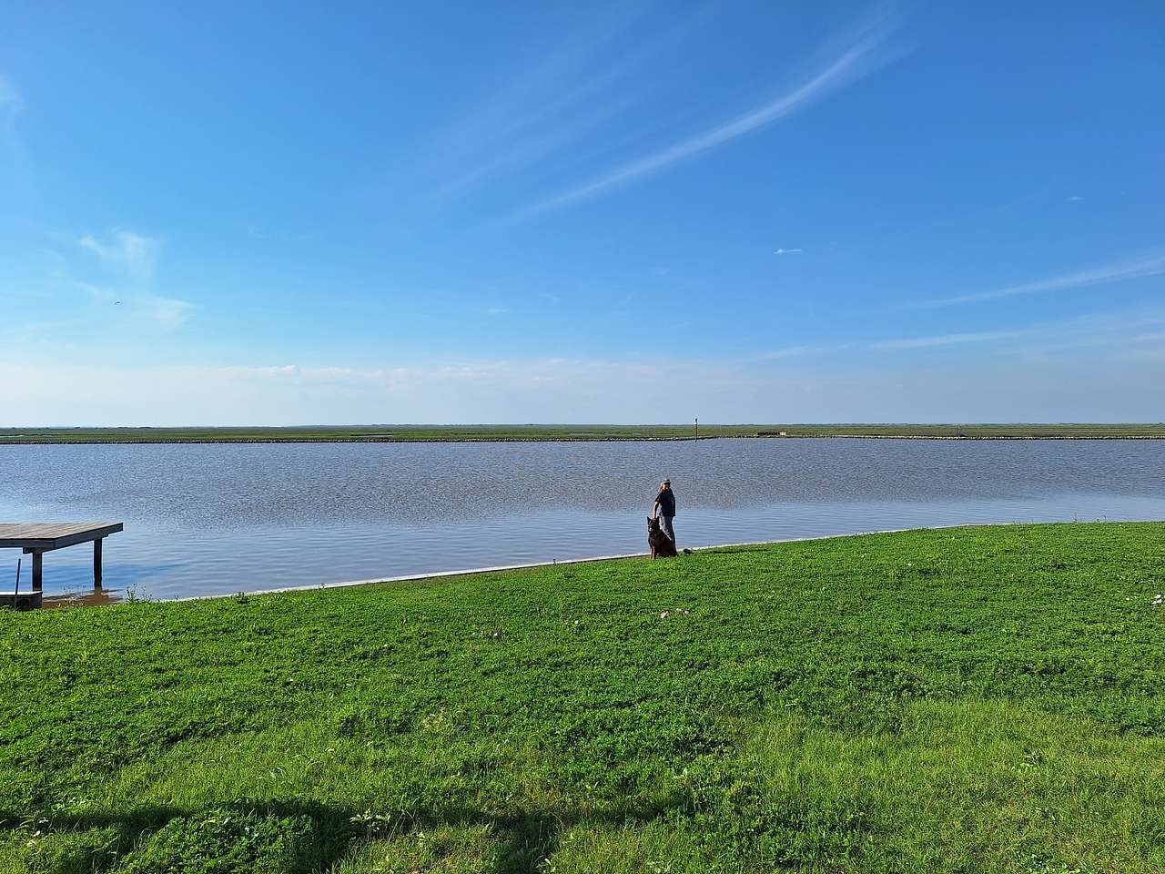No Moss Island