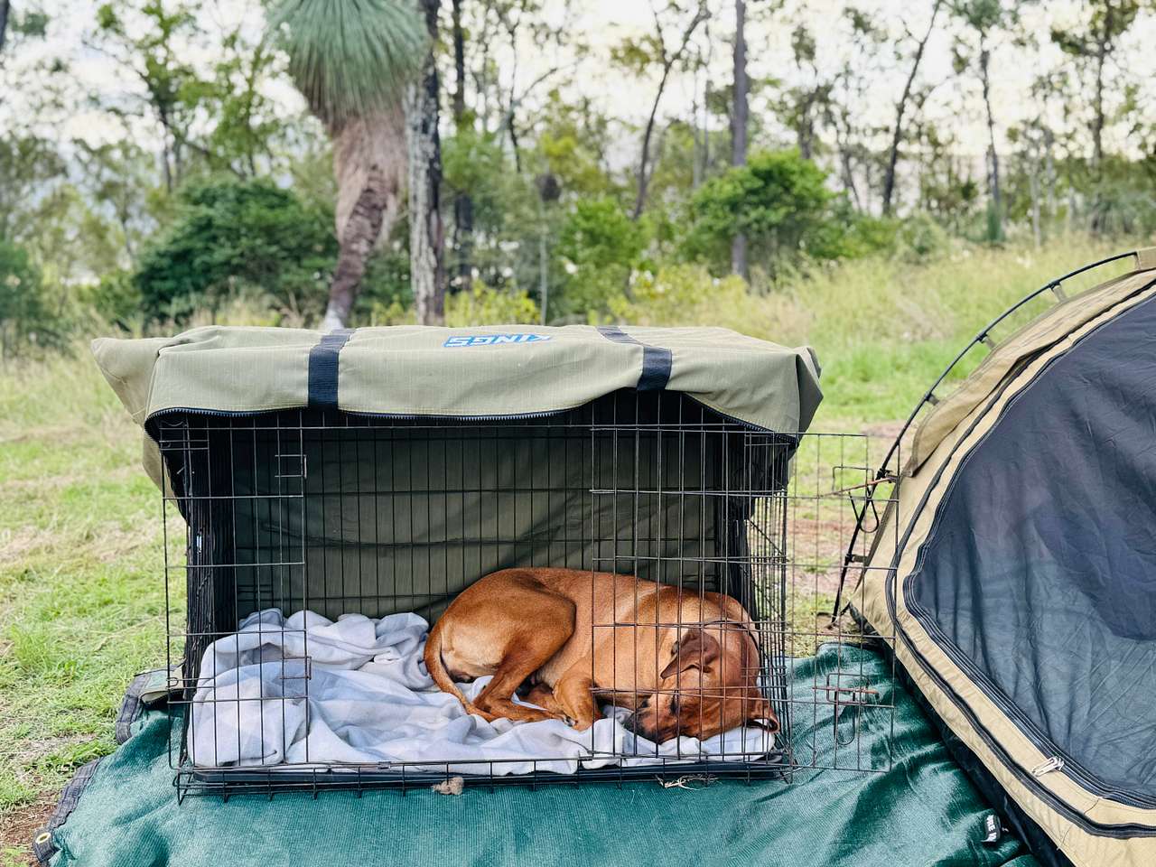 Somerset Dam Private Bush Camp