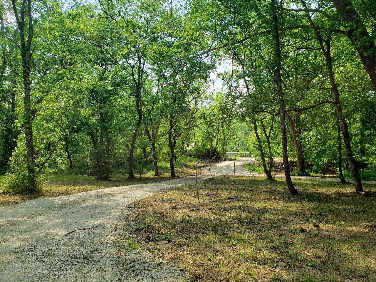 Sycamore Retreat