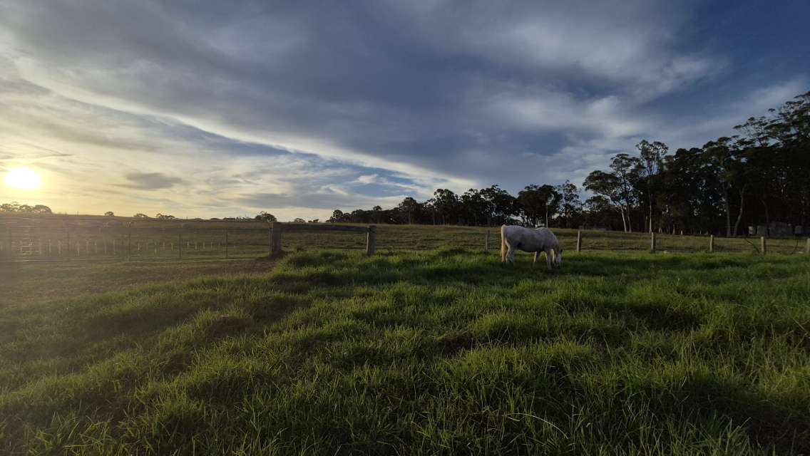 Fat Lamb Farm Camping