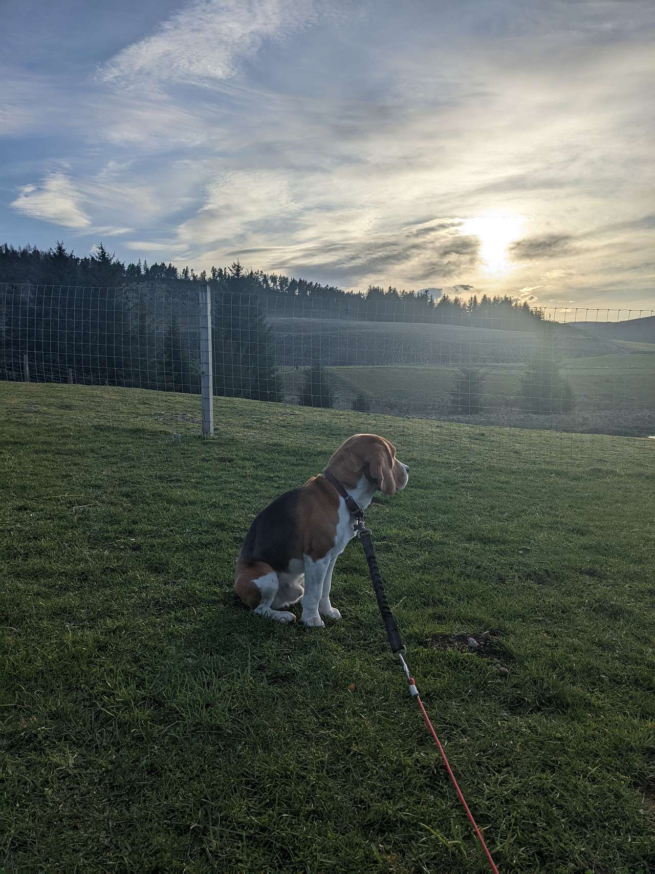 Cairngorms Glamping and Campsite