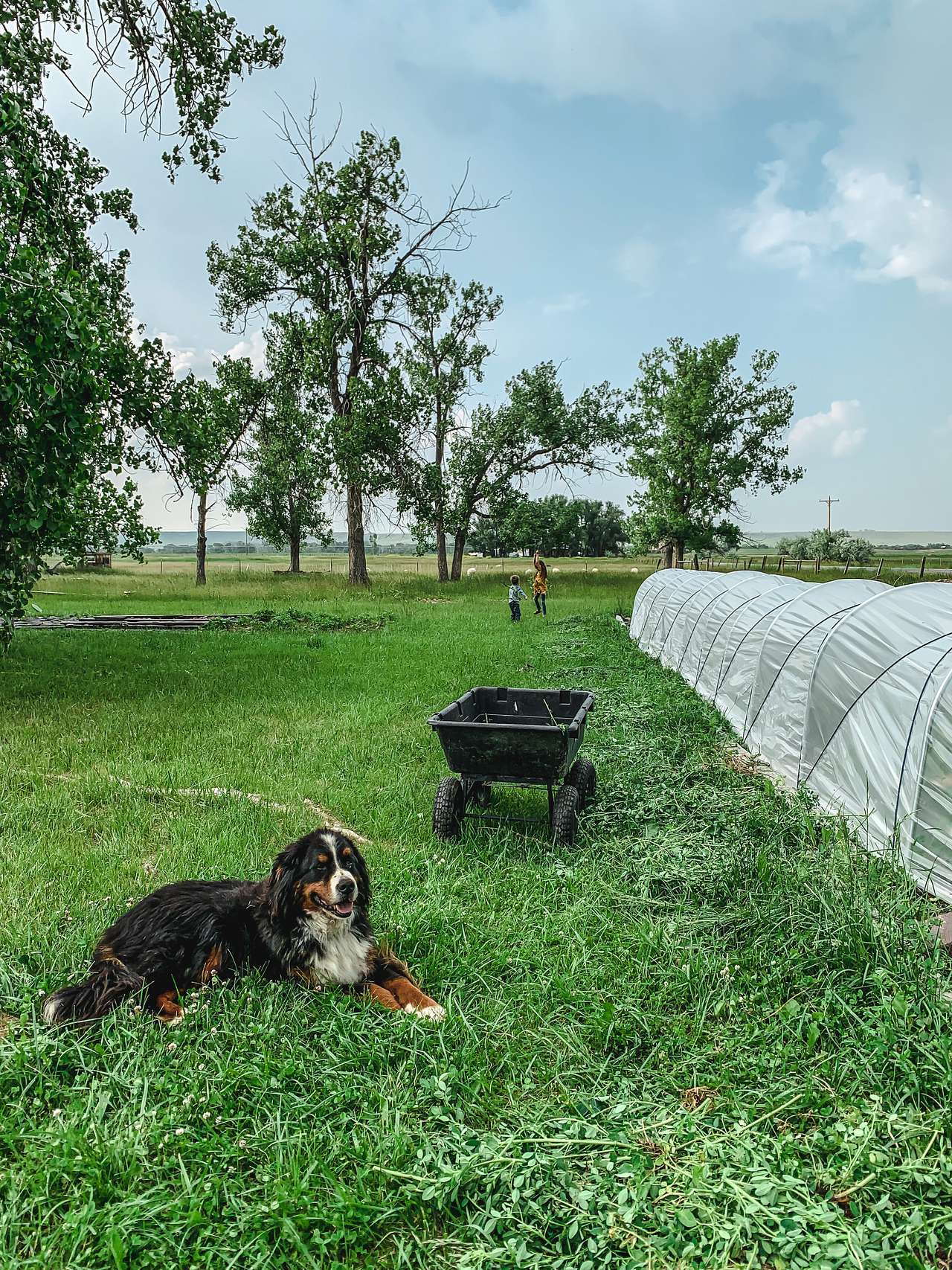 Hardda Farm Site