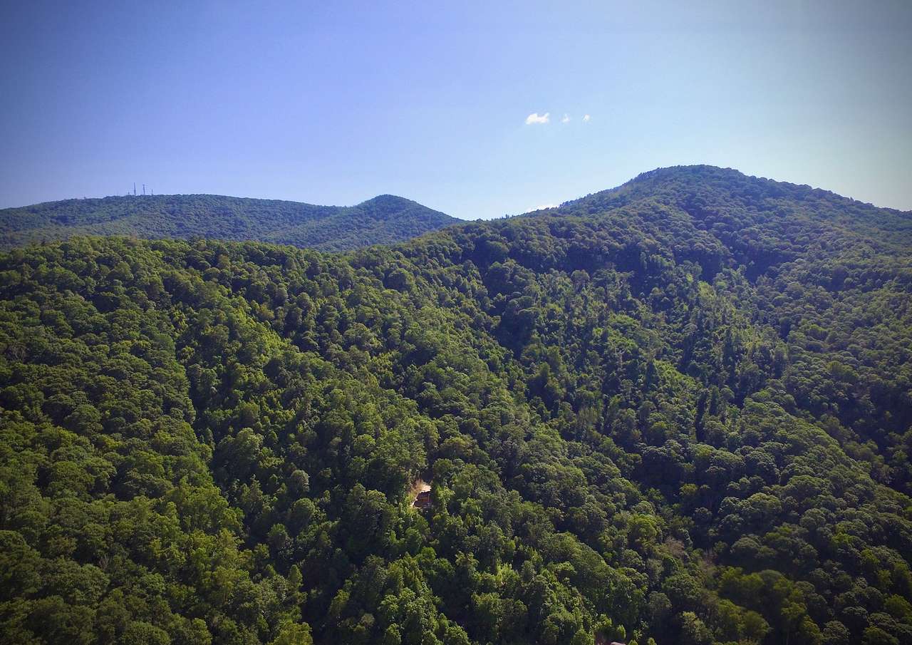 Thicket Ridge Cabin